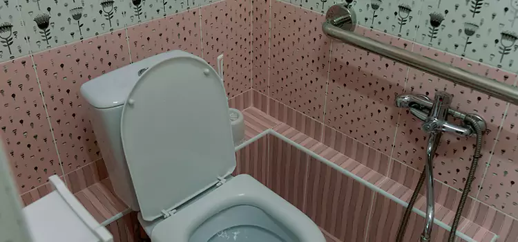 Meeting Diverse Needs With Accessible Restroom Solutions in McAllen, TX